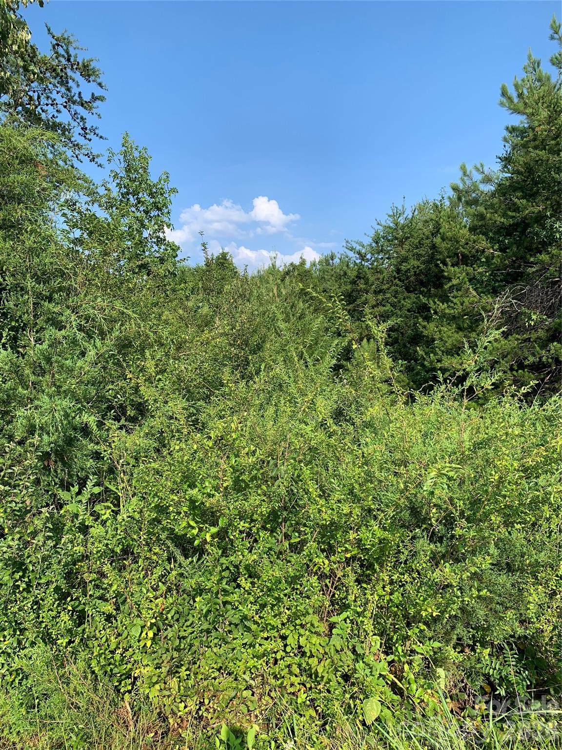https://bt-photos.global.ssl.fastly.net/cmls/1280_boomver_1_4404871-1.jpg