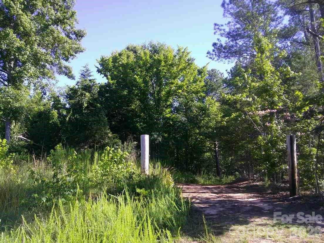 000 Hoodtown Road - Photo 1