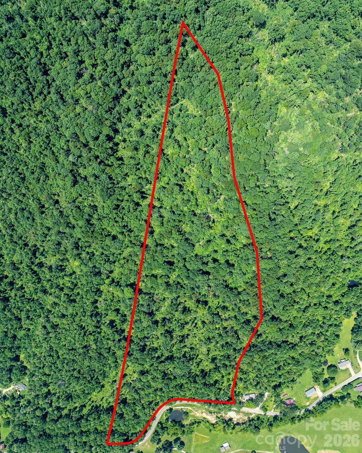 99999 Moody Cove Road - Photo 1
