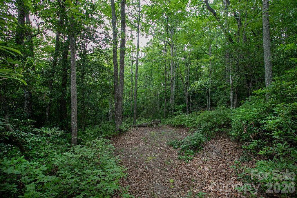 Lot 28 Big Hill Road - Photo 1