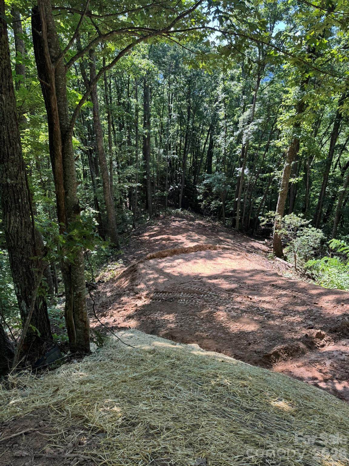 97 Hosta Drive - Photo 1