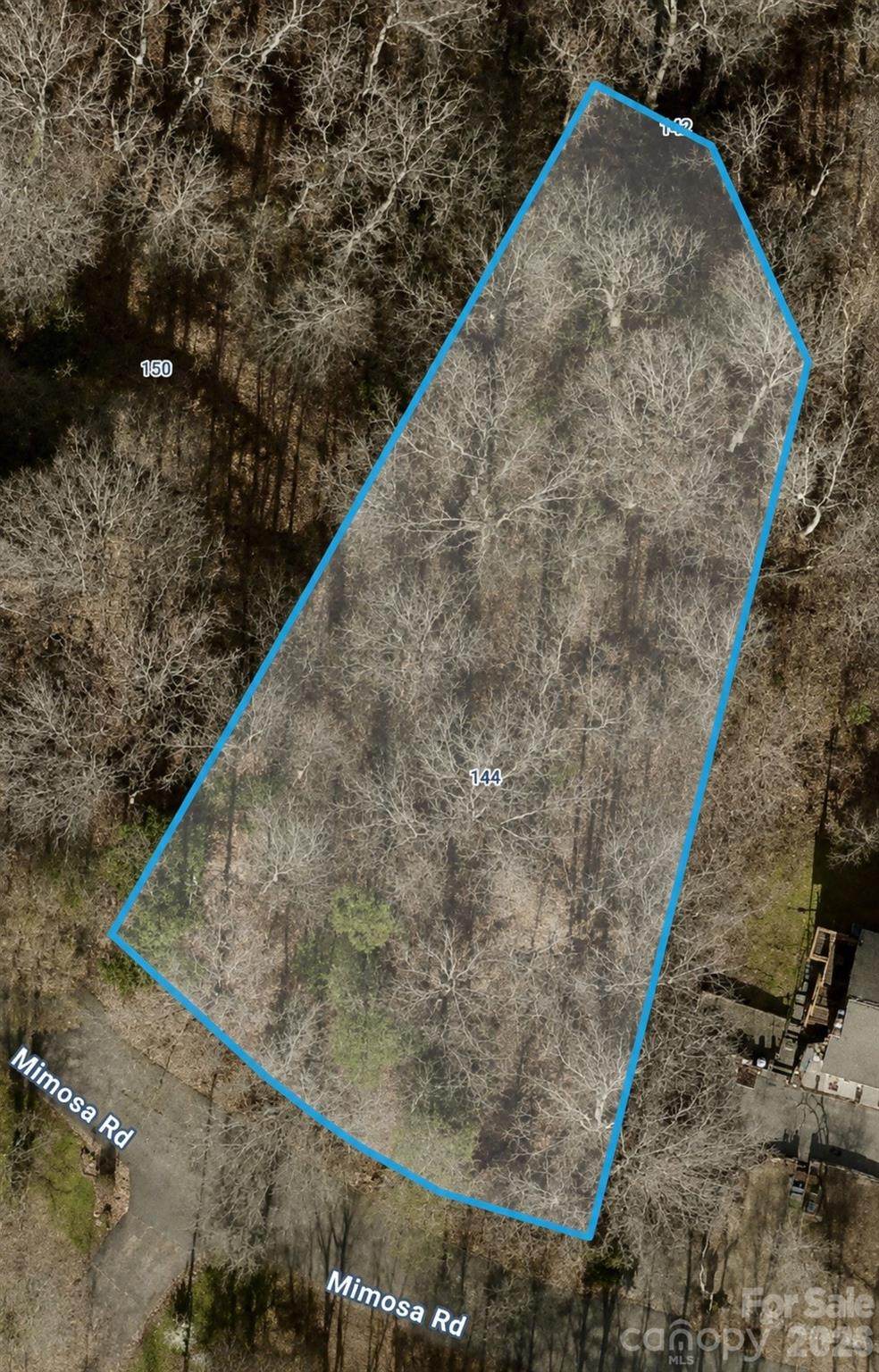 142 Mimosa Road - Photo 1