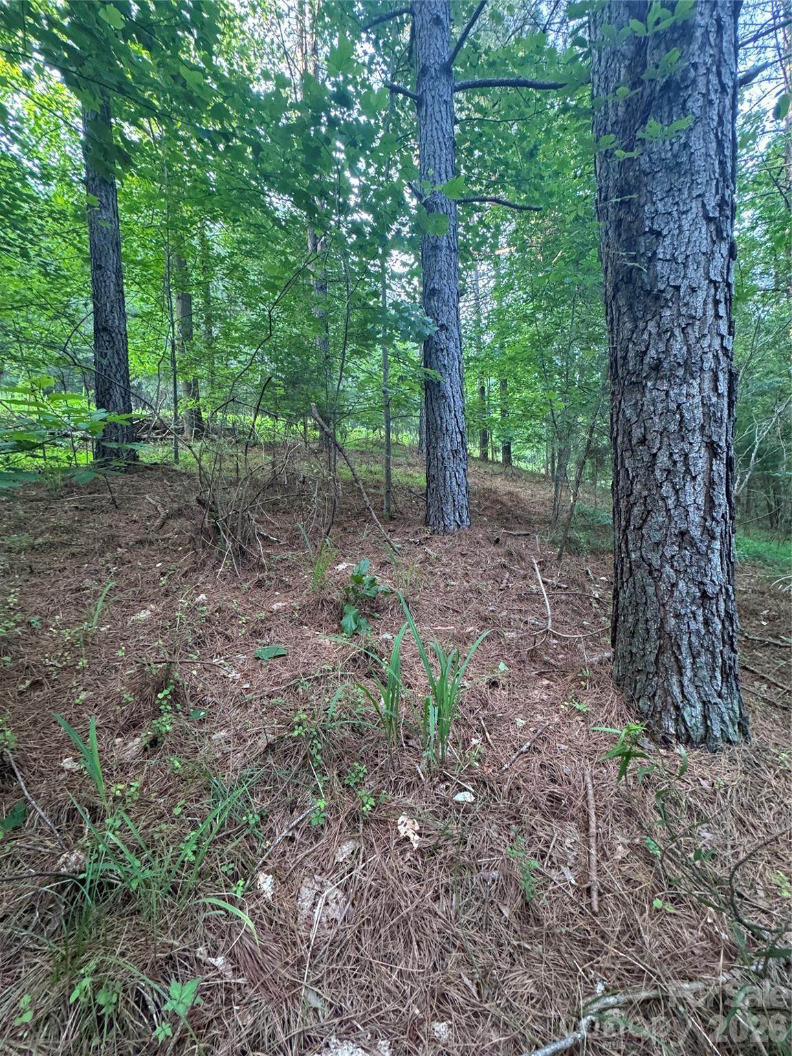 https://bt-photos.global.ssl.fastly.net/cmls/orig_boomver_1_4407912-1.jpg