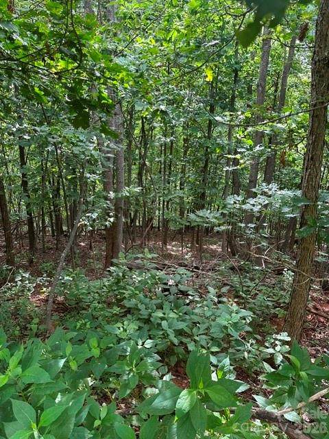 0 Cove Gap Road - Photo 1