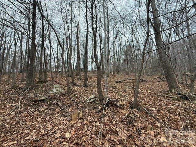 0 Cove Gap Road - Photo 1