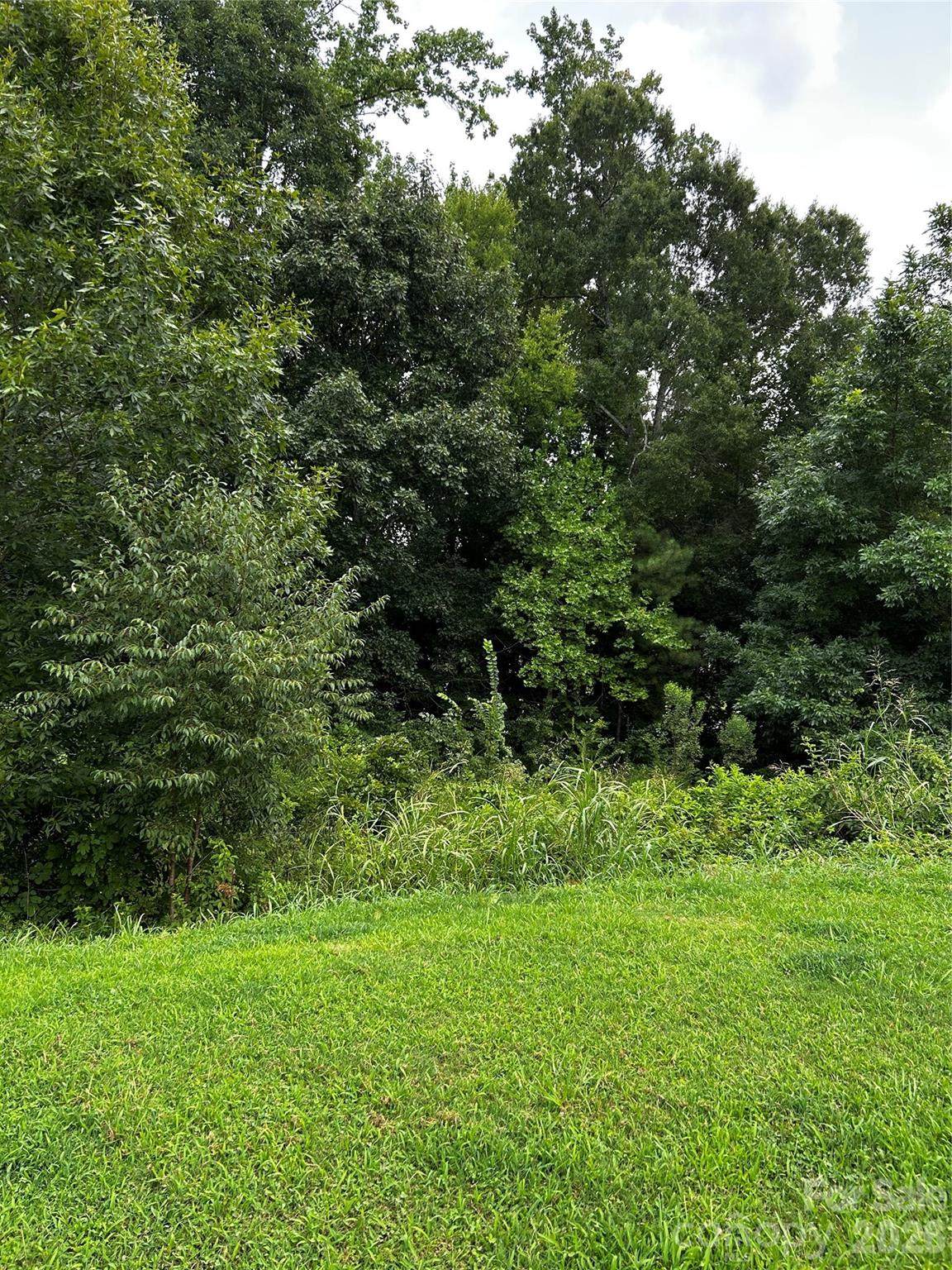 704 Larimer Lane - Photo 1