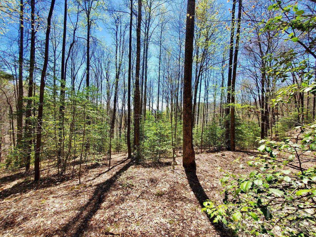 Lot 9 Hemlock Falls Drive - Photo 1