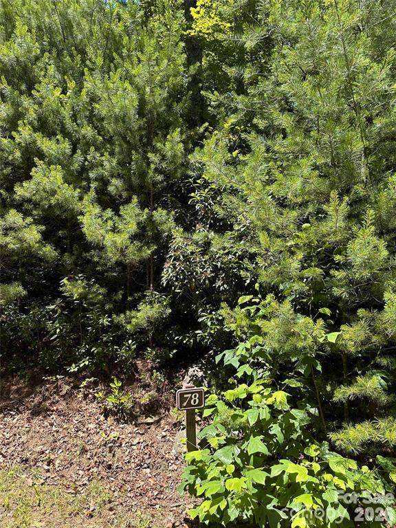 66 Boone Cove Road - Photo 1