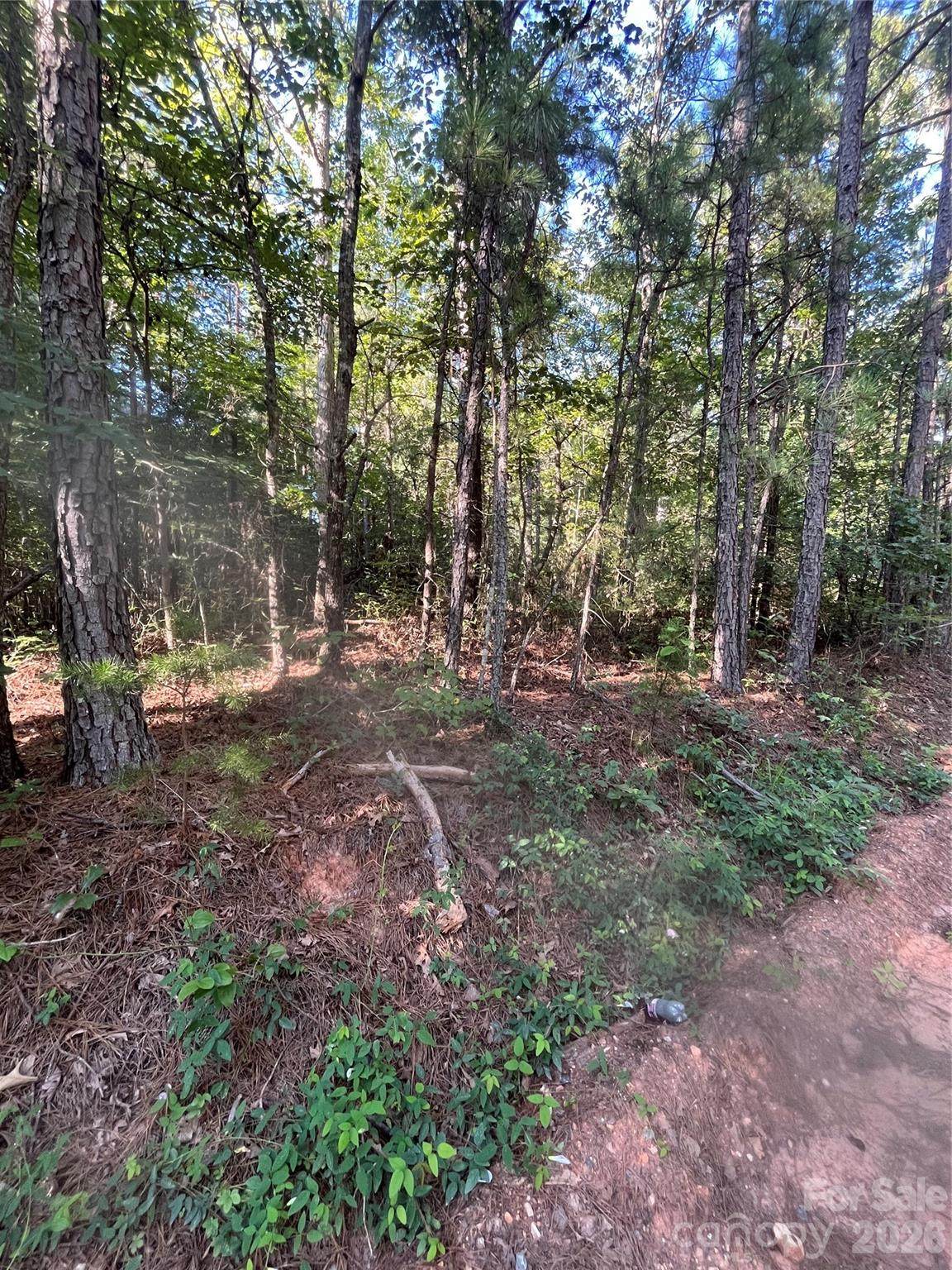0 Ore Bank Road - Photo 1