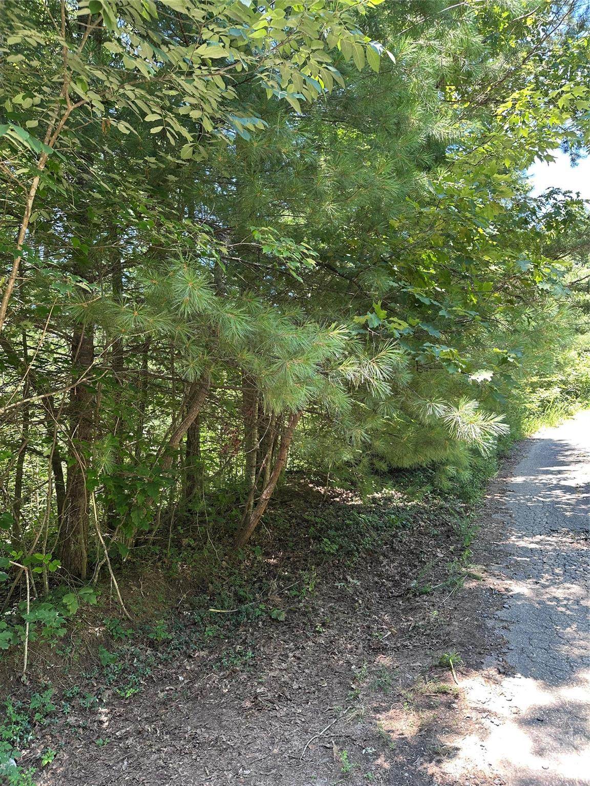 3960 Winston Drive - Photo 1