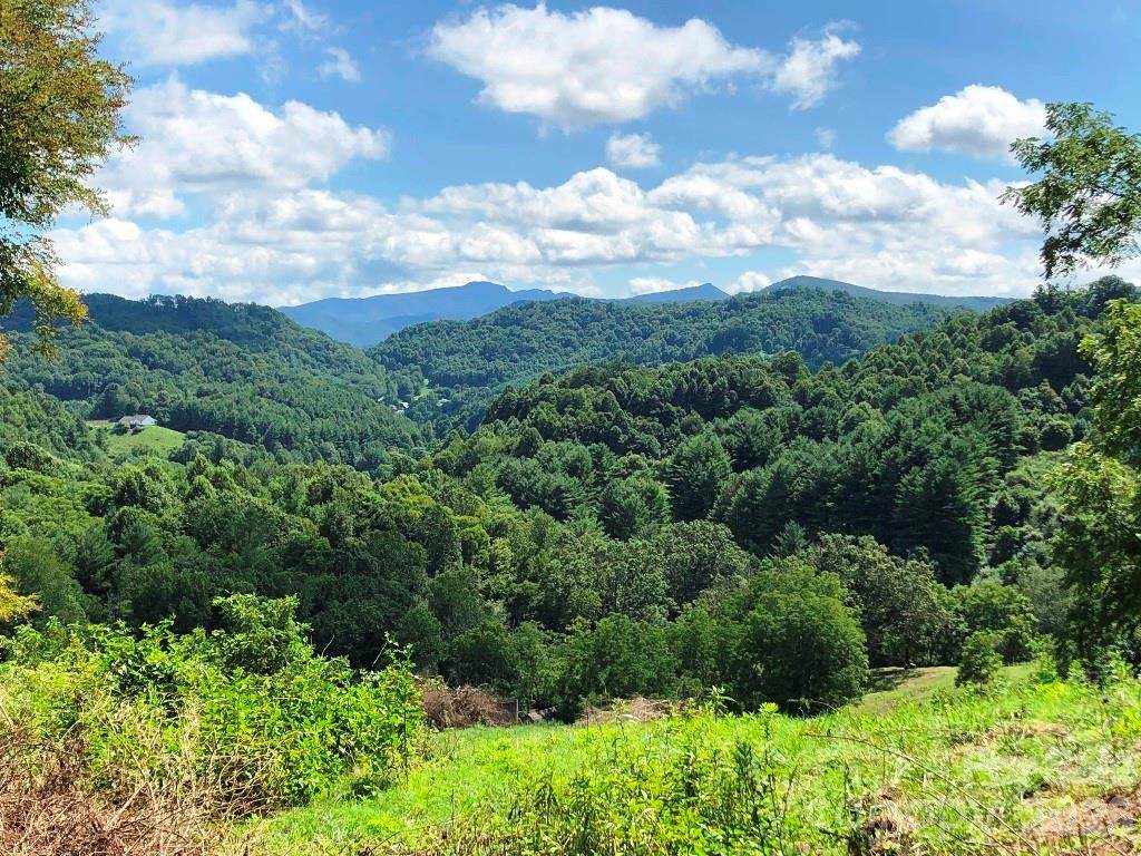 866 Georges Gap Road - Photo 1