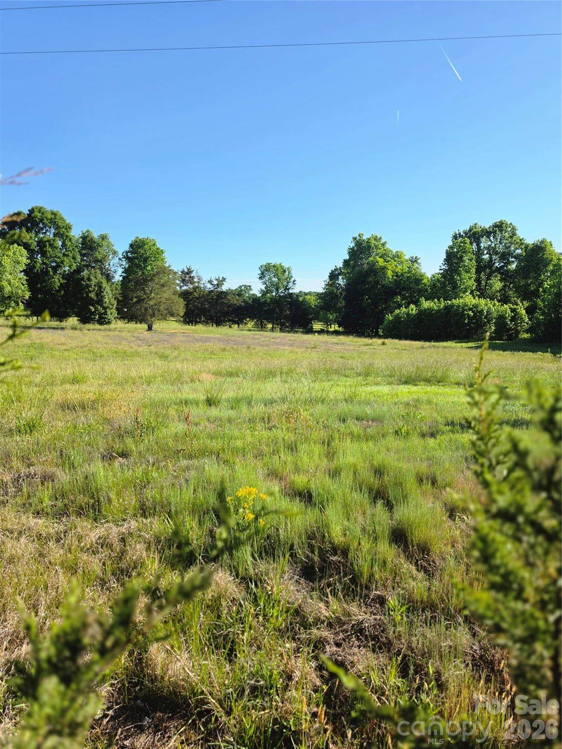 12505 Oscar Road - Photo 1