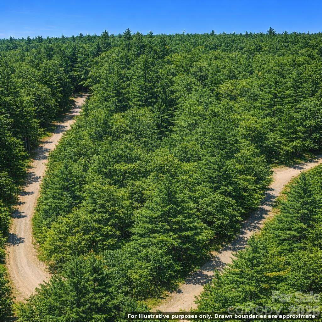 Lot 124 Trellis Drive - Photo 1