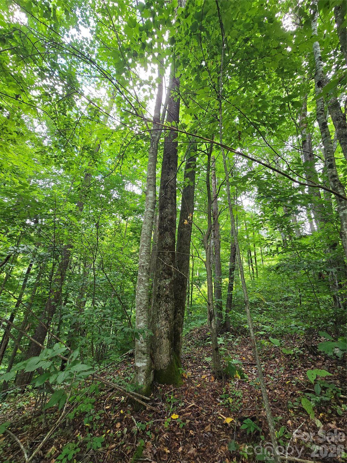 https://bt-photos.global.ssl.fastly.net/cmls/1280_boomver_1_4411022-1.jpg
