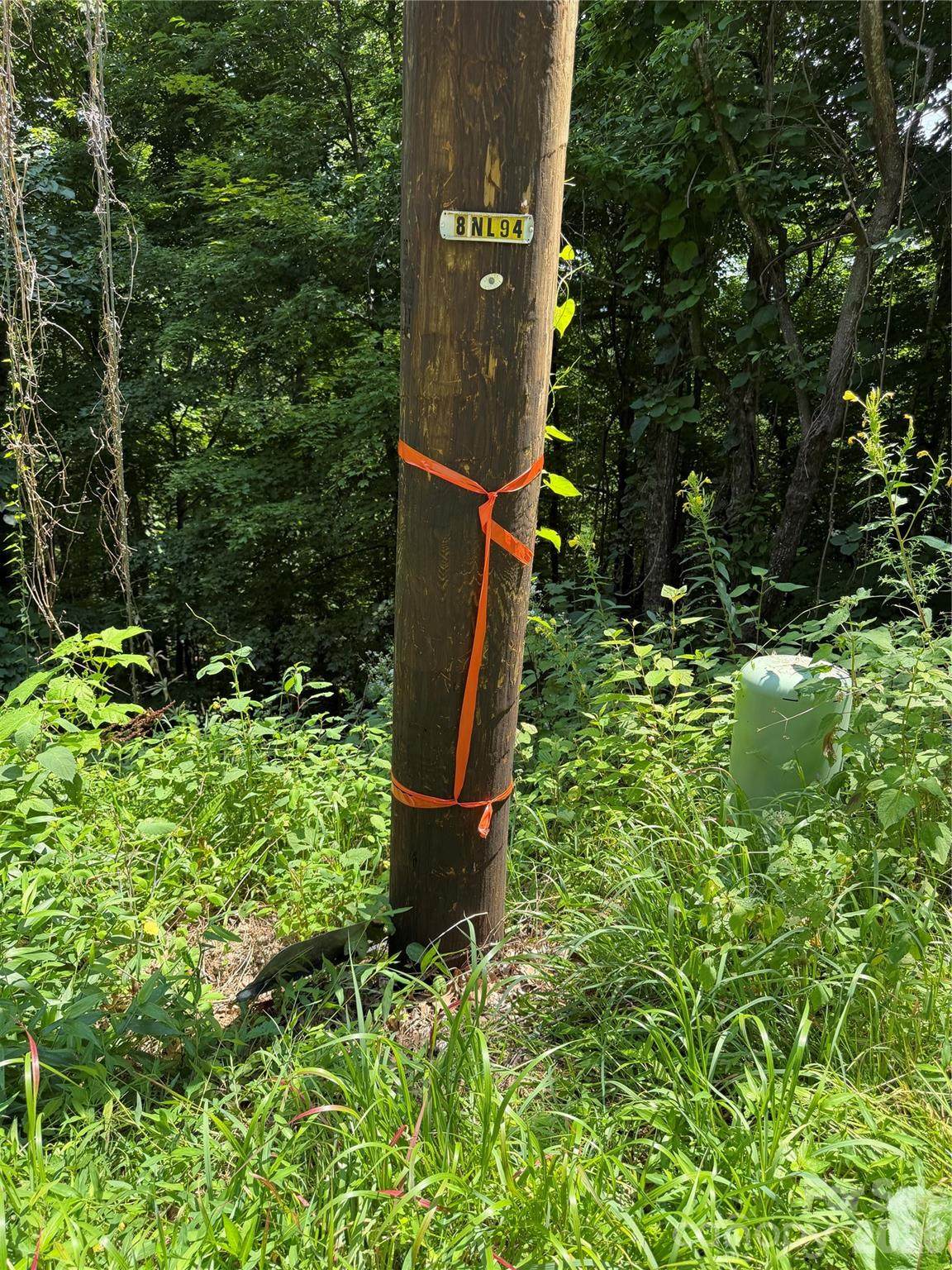 https://bt-photos.global.ssl.fastly.net/cmls/1280_boomver_1_4411294-1.jpg