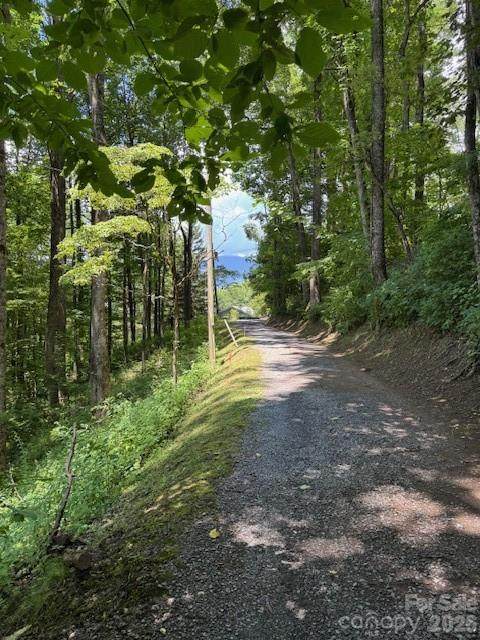 Lot 49 Rocky Ridge Road - Photo 1