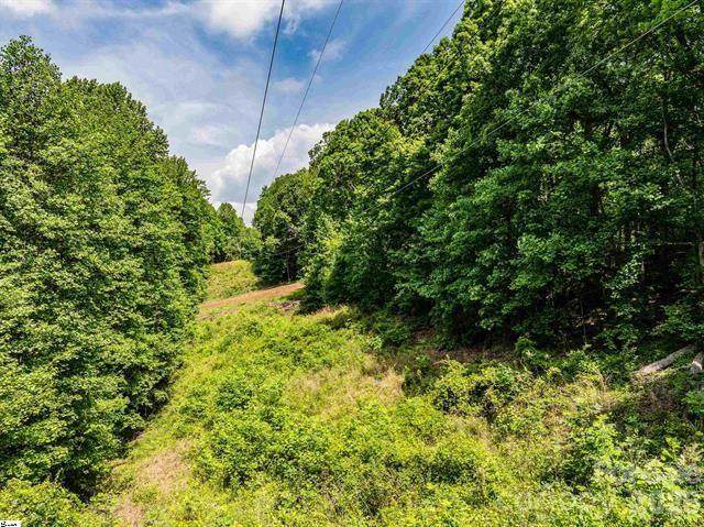 67 & 68 Wildflower Lane - Photo 1