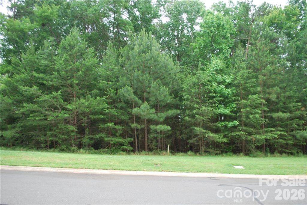 3225 Ashwood Park Drive - Photo 1