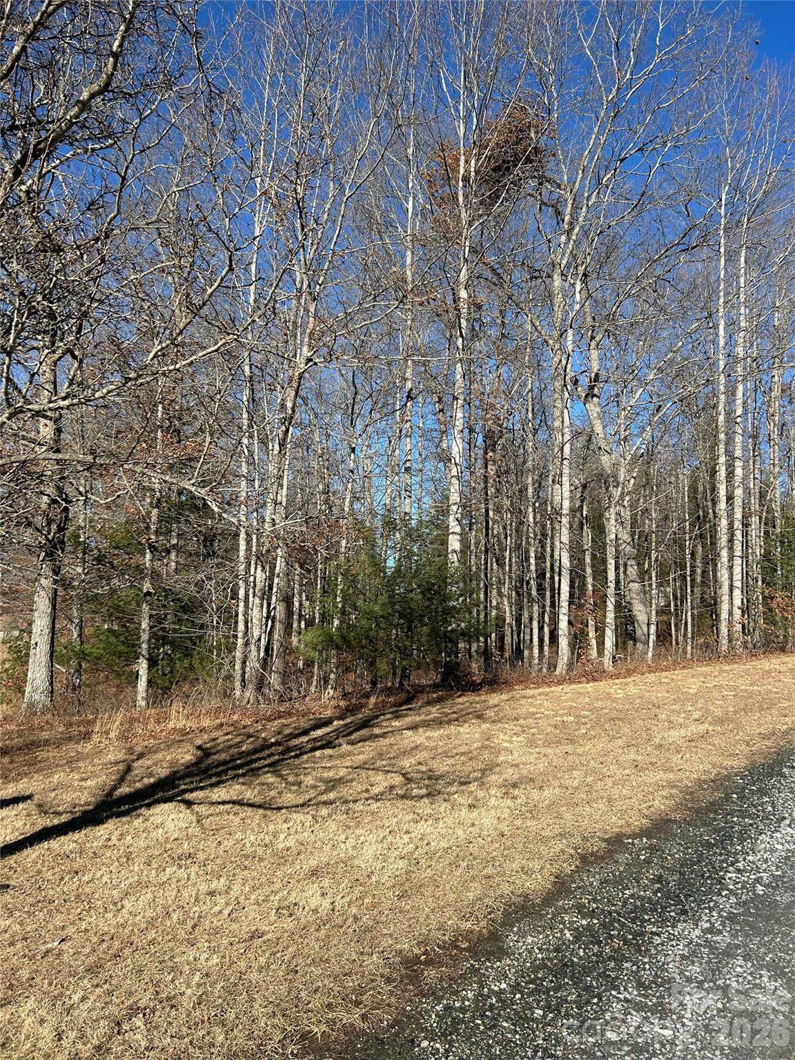 TBD Bear Den Road - Photo 1