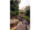 Lot 28 Rushing Falls Way - Photo 17