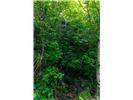 Lot 28 Rushing Falls Way - Photo 19