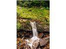 Lot 28 Rushing Falls Way - Photo 21