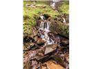 Lot 28 Rushing Falls Way - Photo 22