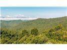 Lot 28 Rushing Falls Way - Photo 4