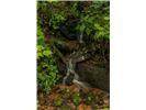 Lot 28 Rushing Falls Way - Photo 8