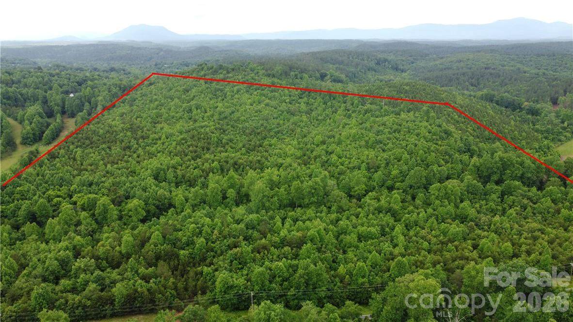0 Maple Creek Road - Photo 1