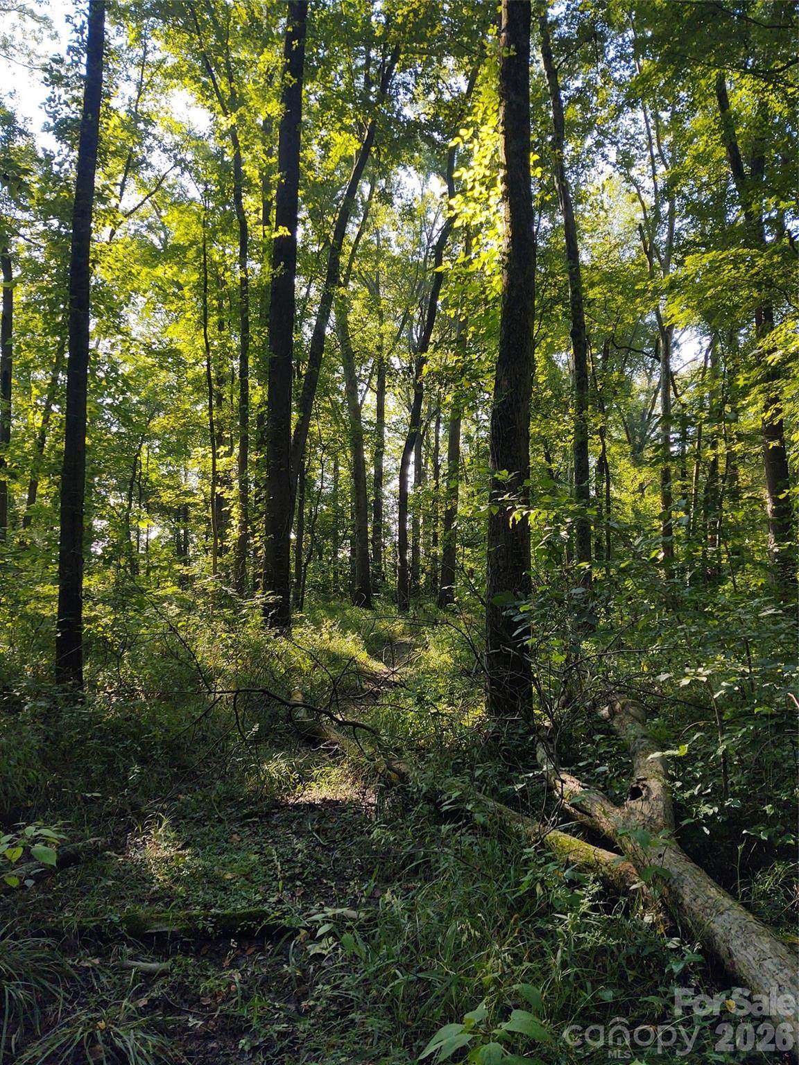 000 Stratton Farm Road - Photo 1