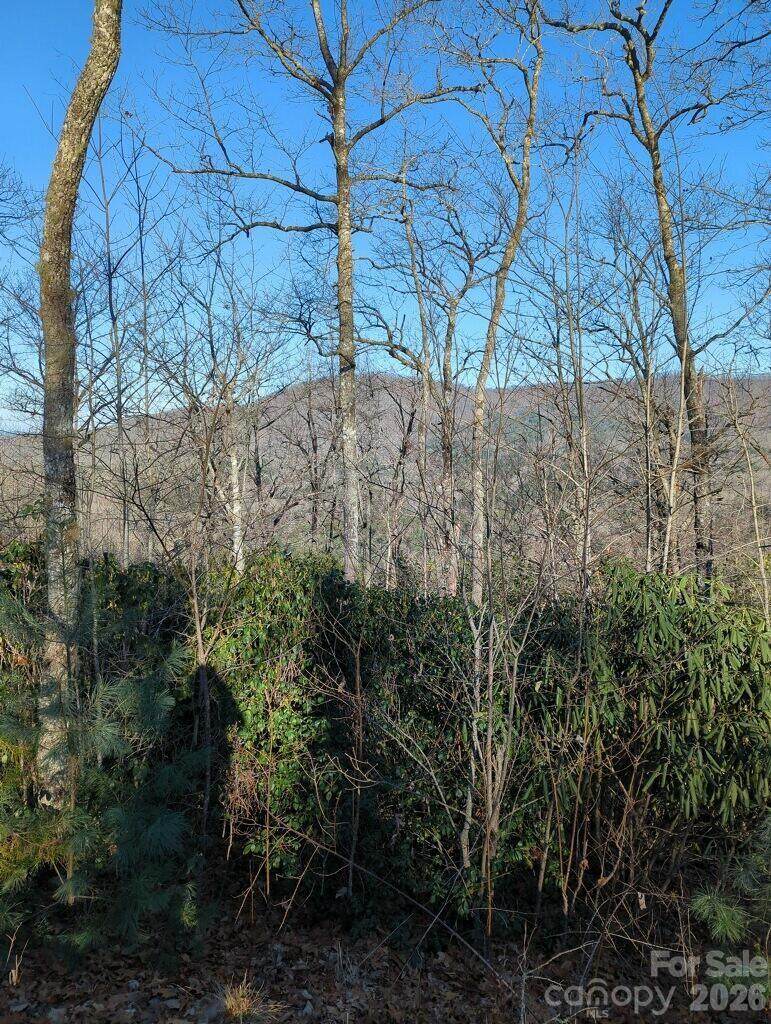 21 Hidden River - Photo 1