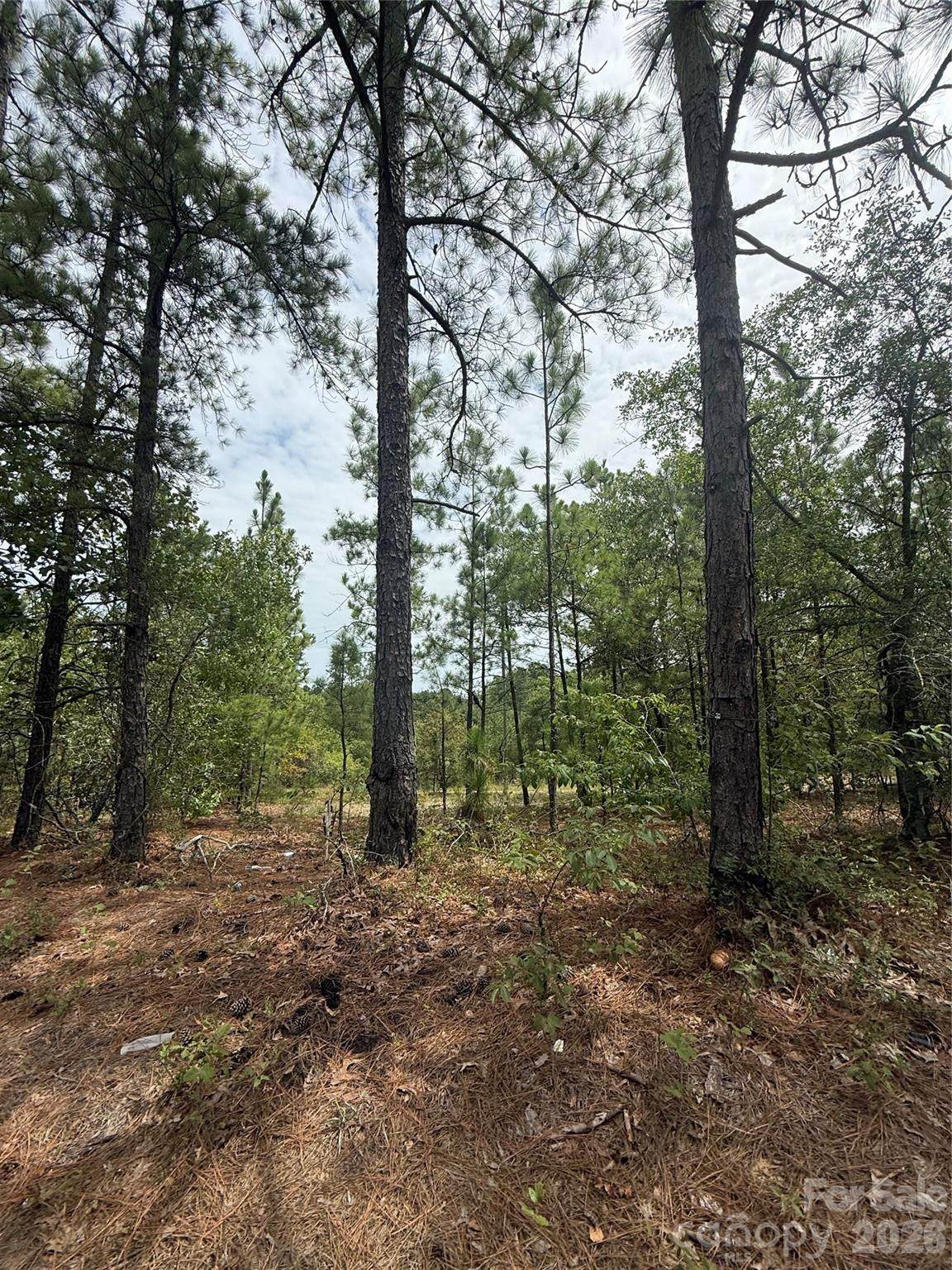 TBD Sheridan Oliver Road - Photo 1