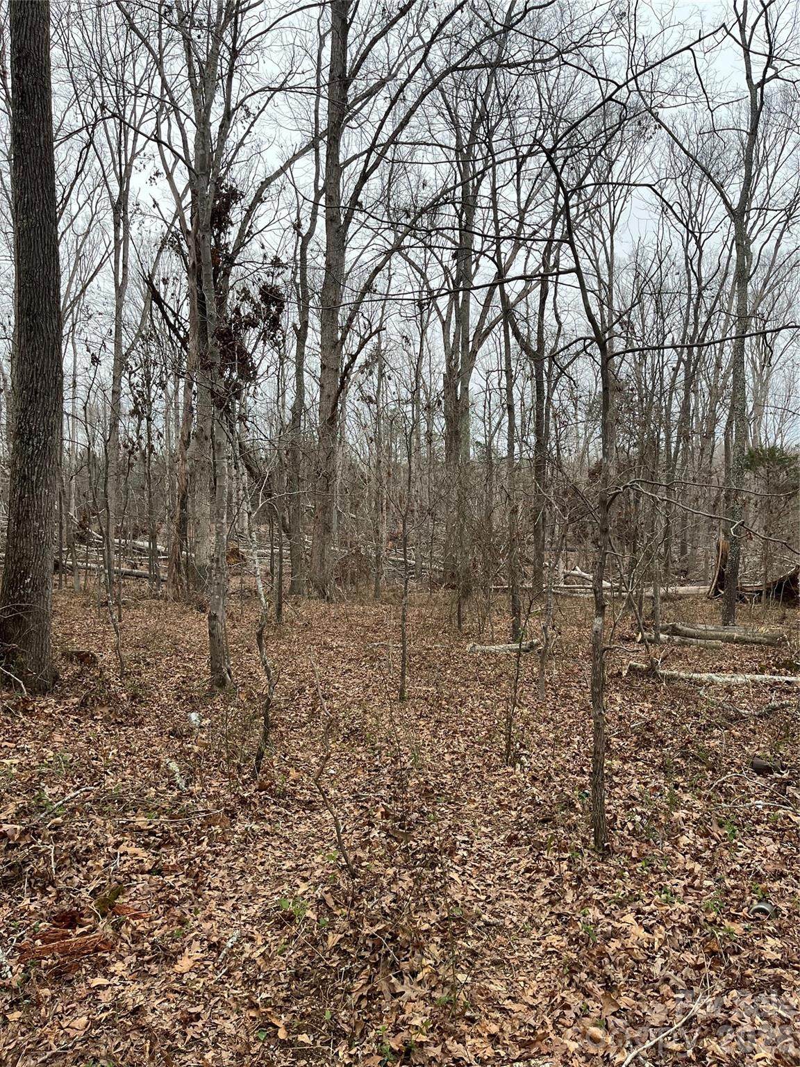 417 Davis Road - Photo 1