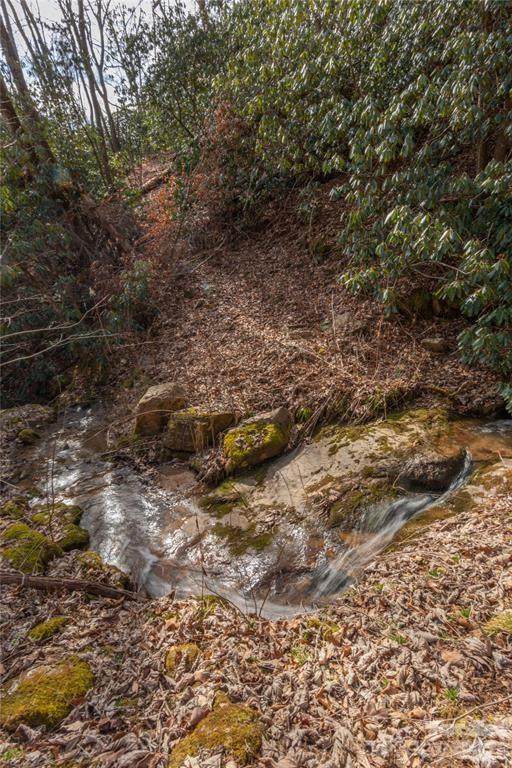 2220 Tract 1 Tilley Creek Road - Photo 1