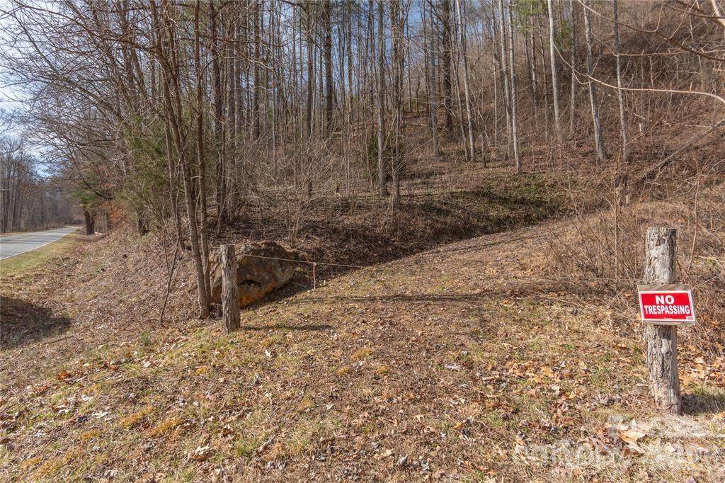 2220 Tract 2 Tilley Creek Road - Photo 1