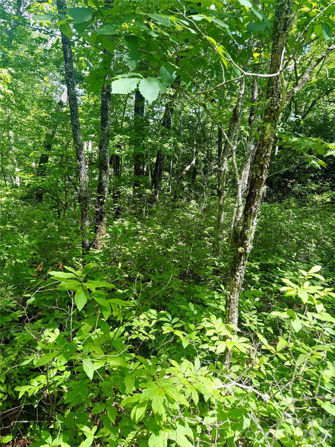 https://bt-photos.global.ssl.fastly.net/cmls/orig_boomver_1_4414649-1.jpg