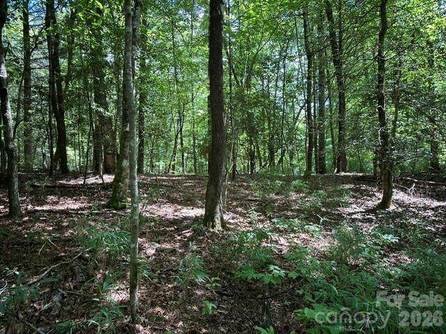 TBD Blossom Road - Photo 1