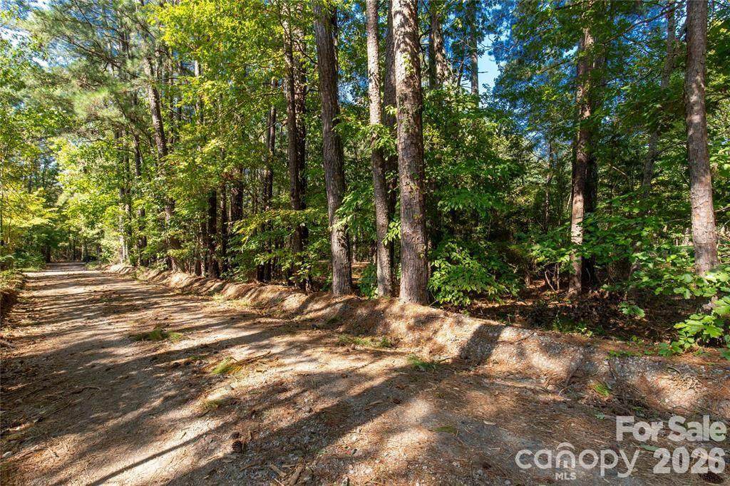 0000 Saddle Road - Photo 1