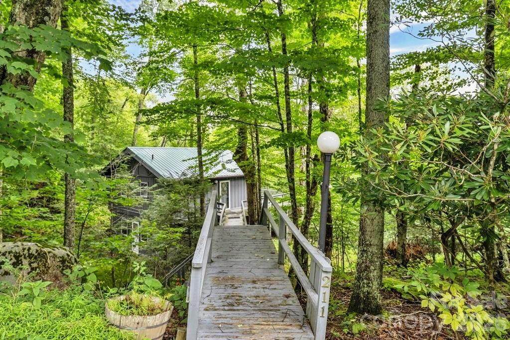 211 Foxgrape Hollow - Photo 1