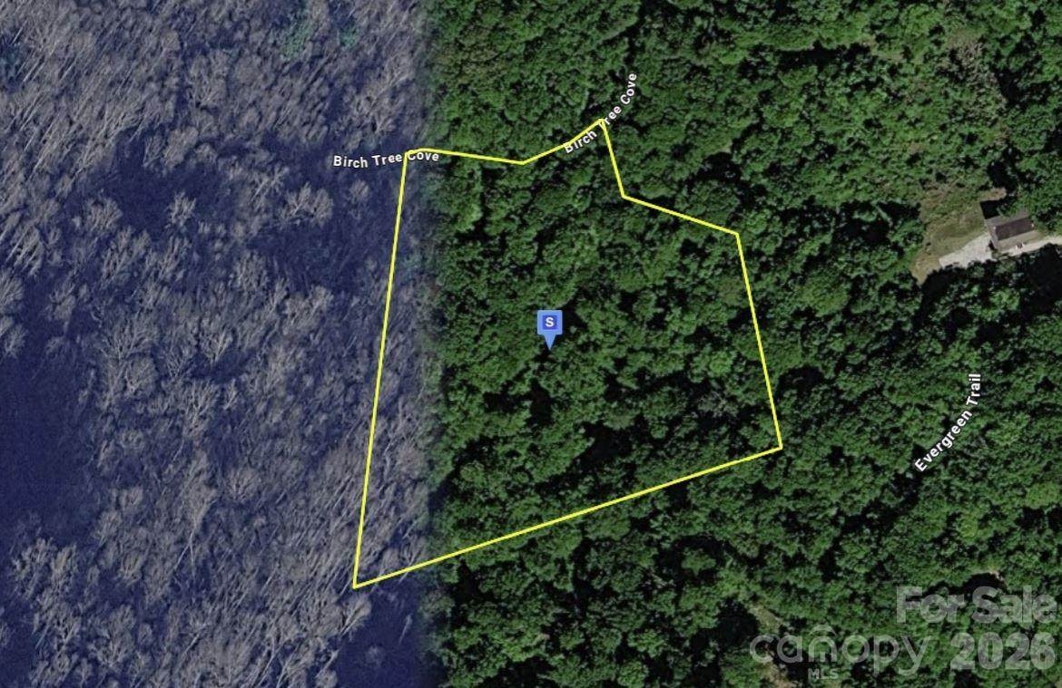 111 Birch Tree Cove - Photo 1
