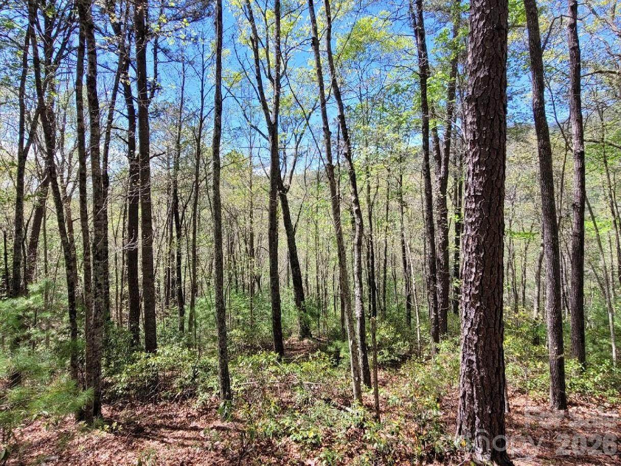 Lot 21 Little Fox Run - Photo 1