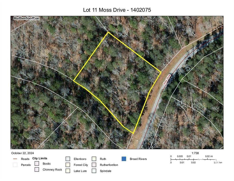 11 Moss Drive - Photo 1