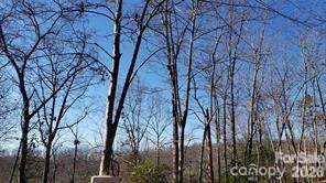 TBD Galax Lane - Photo 1