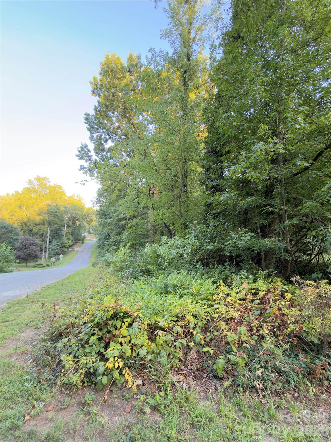 0 Bonanza Drive - Photo 1