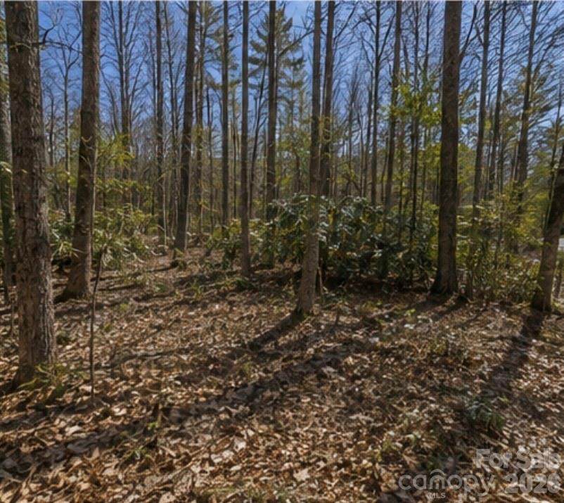 109 Christy Trail - Photo 1