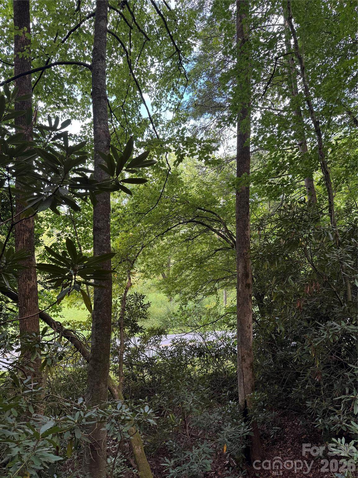 000 Wilson Road - Photo 1