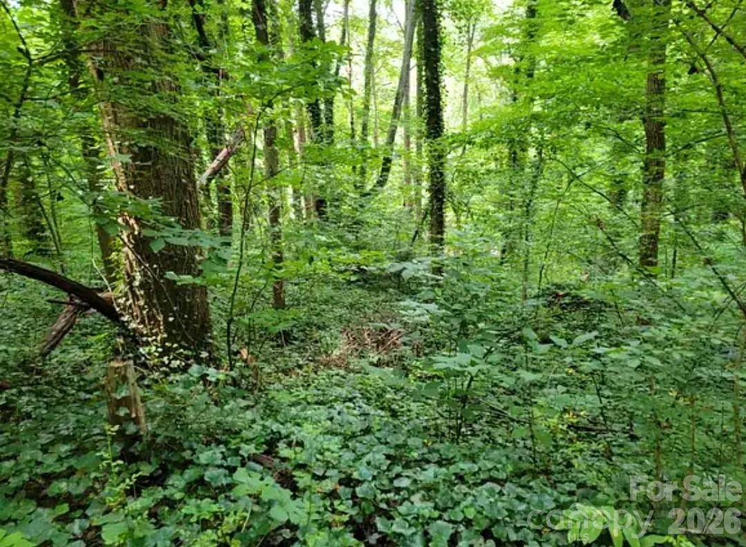 0 Rock Broad River Road - Photo 1