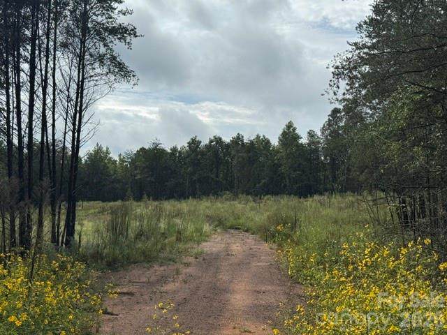 00 Creekwood Road - Photo 1