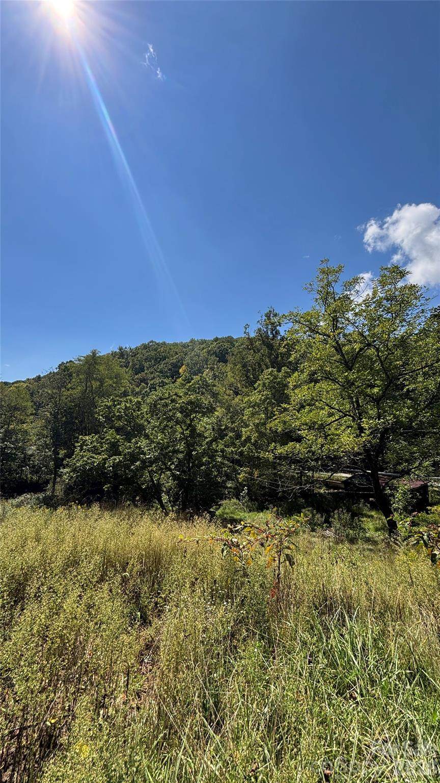 188 Velvis Hollifield Road - Photo 1